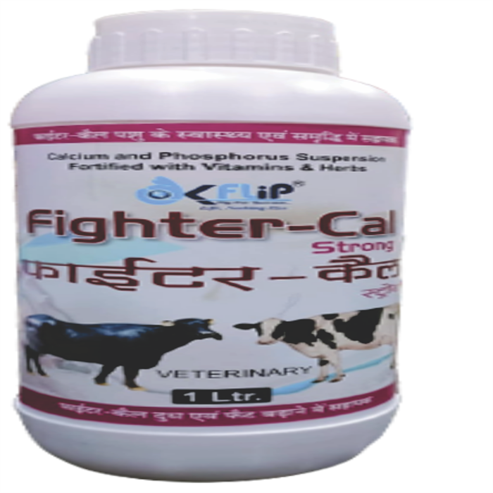 FIGHTER CAL
